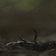 Image for article titled No, The Outsider hasn’t stalled—its protagonist just refuses to keep up